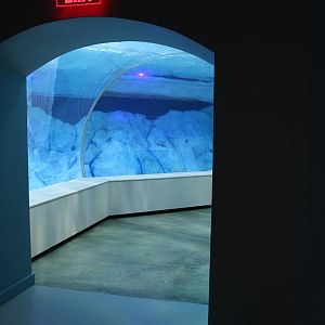 Detroit Zoo - Polk Penguin Conservation Center