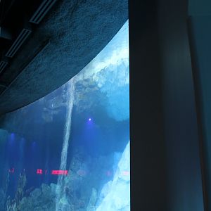 Detroit Zoo - Polk Penguin Conservation Center