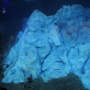 Detroit Zoo - Polk Penguin Conservation Center