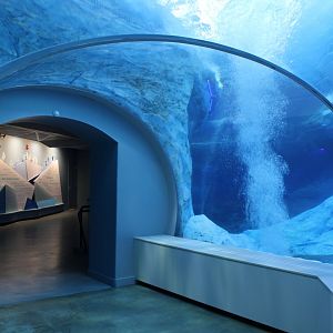 Detroit Zoo - Polk Penguin Conservation Center