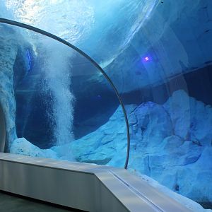 Detroit Zoo - Polk Penguin Conservation Center