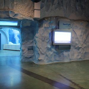 Detroit Zoo - Polk Penguin Conservation Center