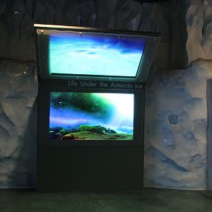 Detroit Zoo - Polk Penguin Conservation Center