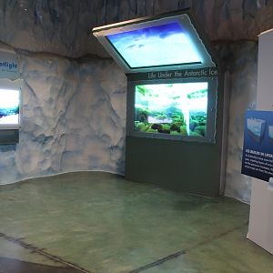 Detroit Zoo - Polk Penguin Conservation Center