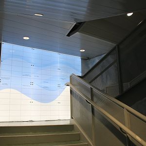 Detroit Zoo - Polk Penguin Conservation Center