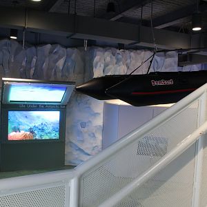 Detroit Zoo - Polk Penguin Conservation Center