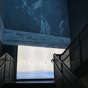 Detroit Zoo - Polk Penguin Conservation Center