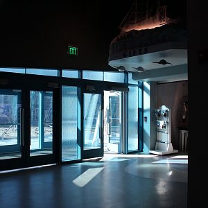 Detroit Zoo - Polk Penguin Conservation Center