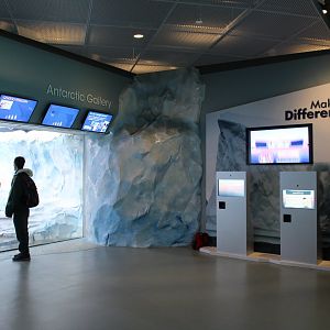 Detroit Zoo - Polk Penguin Conservation Center