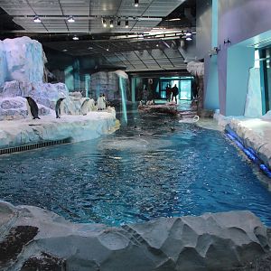 Detroit Zoo - Polk Penguin Conservation Center