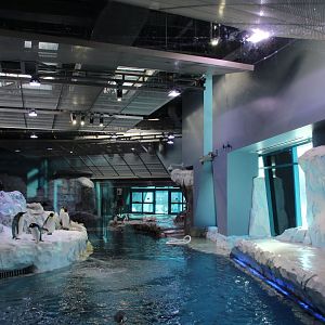 Detroit Zoo - Polk Penguin Conservation Center