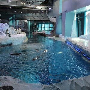 Detroit Zoo - Polk Penguin Conservation Center