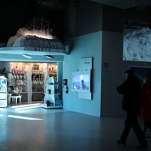 Detroit Zoo - Polk Penguin Conservation Center