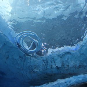 Detroit Zoo - Polk Penguin Conservation Center