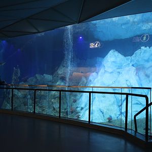 Detroit Zoo - Polk Penguin Conservation Center