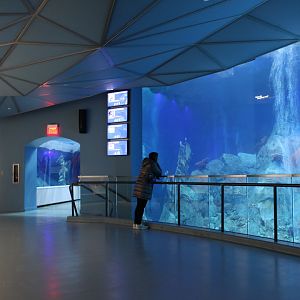 Detroit Zoo - Polk Penguin Conservation Center