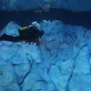 Detroit Zoo - Polk Penguin Conservation Center