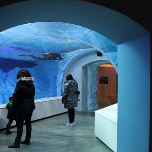 Detroit Zoo - Polk Penguin Conservation Center