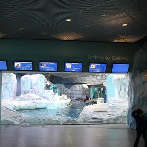 Detroit Zoo - Polk Penguin Conservation Center