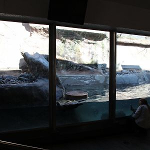 Detroit Zoo