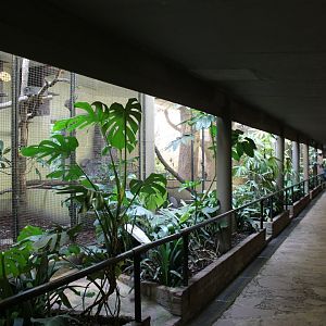 Inside the Bird House