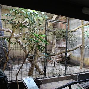 Hyacinthine macaw aviary