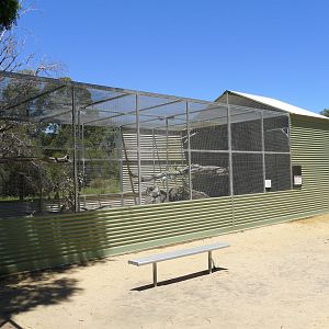 Halls Gap Zoo - Blue & Gold Macaw avairy