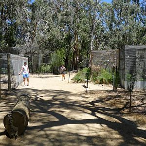 Halls Gap Zoo - older avairies