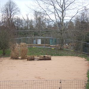 12/2/2017 View of work round the former Cheetah yurt