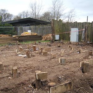 12/2/2017 View of work round the former Cheetah yurt