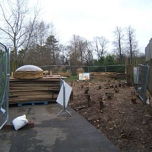 12/2/2017 View of work round the former Cheetah yurt