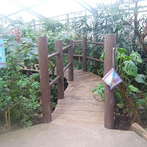 12/2/2017 View of alterations in Butterfly House