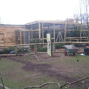 12/2/2017 View of work on new Asian Song Bird aviarys