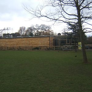 12/2/2017 View of work on new Asian Song Bird aviarys