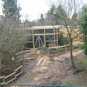 12/2/2017 View of work on new Asian Song Bird aviarys