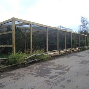 12/2/2017 View of work on new Asian Song Bird aviarys