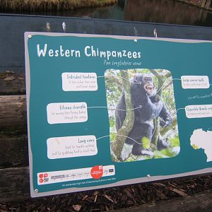 12/2/2017 view of signage style