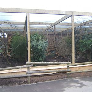 12/2/2017 View of work on new Asian Song Bird aviarys