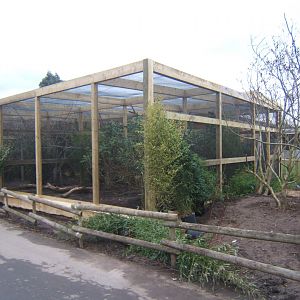 12/2/2017 View of work on new Asian Song Bird aviarys