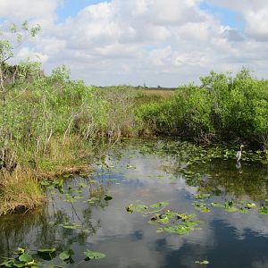 Everglades National Park