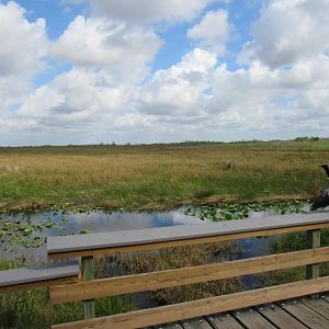 Everglades National Park