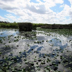 Everglades National Park
