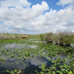 Everglades National Park