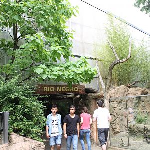 Entrance - Exit Rio Negro