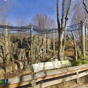 Feb. 2017 - Forests - White-handed Gibbon Exhibit