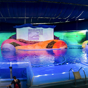 Feb. 2017 - Marine Mammals - Dolphin Pavilion Panorama