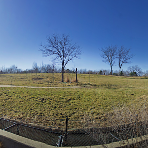 Feb. 2017 - Plains - Right Bush Elephant Exhibit Panorama