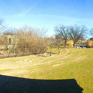 Feb. 2017 - Plains - Lion + Savanna Exhibit (6 Species) - Panorama