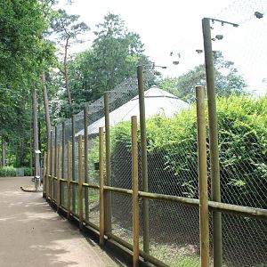 Fence Barbary macaque-enclosure