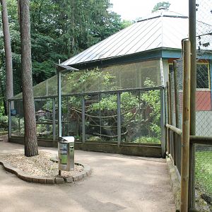 Enclosure Common marmoset